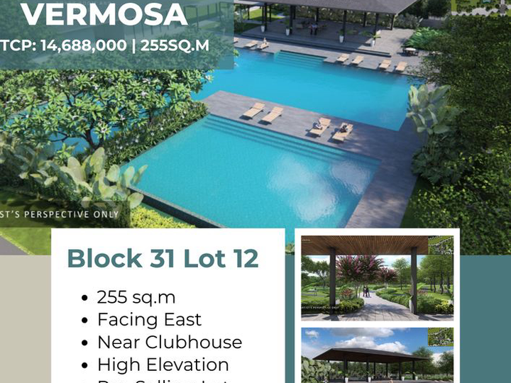 Caleia at Vermosa -  255 sqm Residential Lot For Sale in Imus Cavite