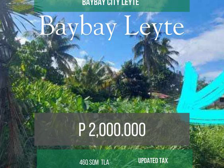 Lot For Sale In Baybay Leyte