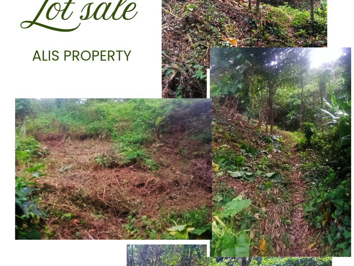 Lot for sale in El Nido palawan