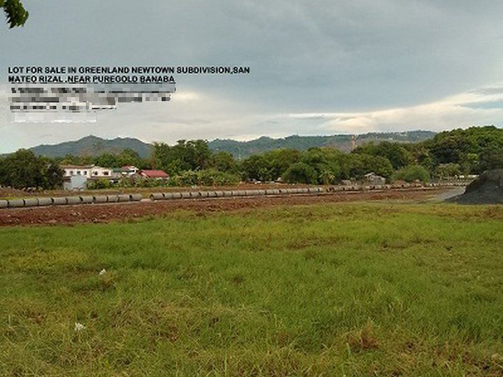 i'm selling titled,ready to use residential lot in greenland newtown subdivision,san mateo rizal