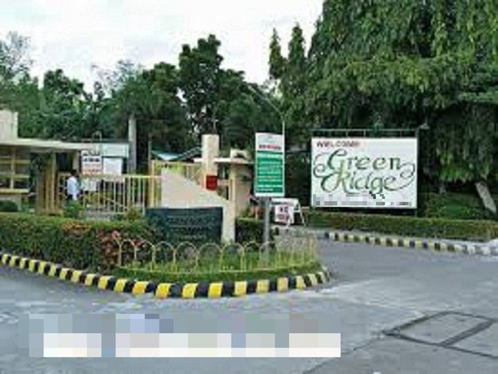 i'm selling titled,ready to use residential lot in greenridge subdivision,binangonan rizal