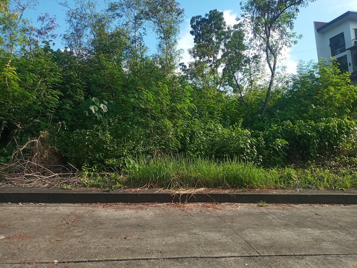 120 sqm Residential Lot For Sale Greenville Heights Consolacion Cebu