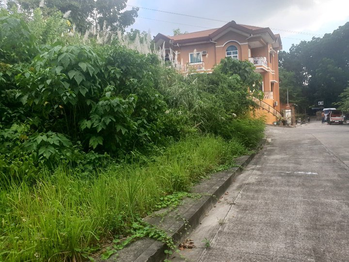 113 sqm Residential Lot For Sale Greenville Heights Consolacion Cebu