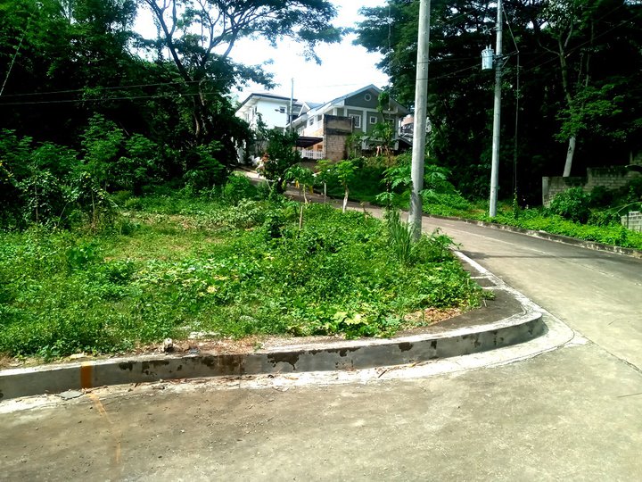 254 sqm residential lot in Greenwoods Cebu City flat & greenery views