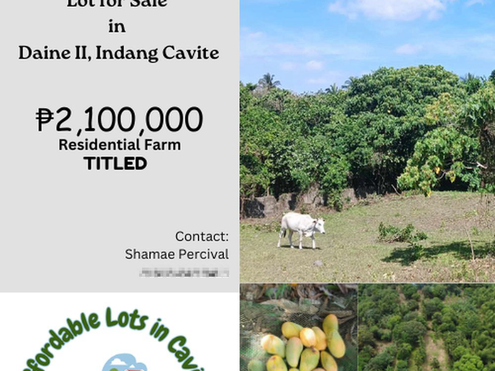 1000sqm Lot for Sale in Daine II, Indang Cavite