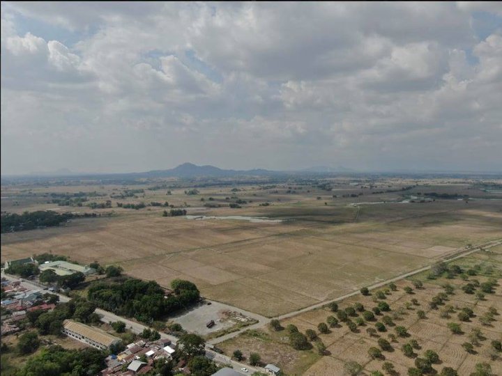 Expansive Land for Mixed-Use Development in Guimba, Nueva Ecija