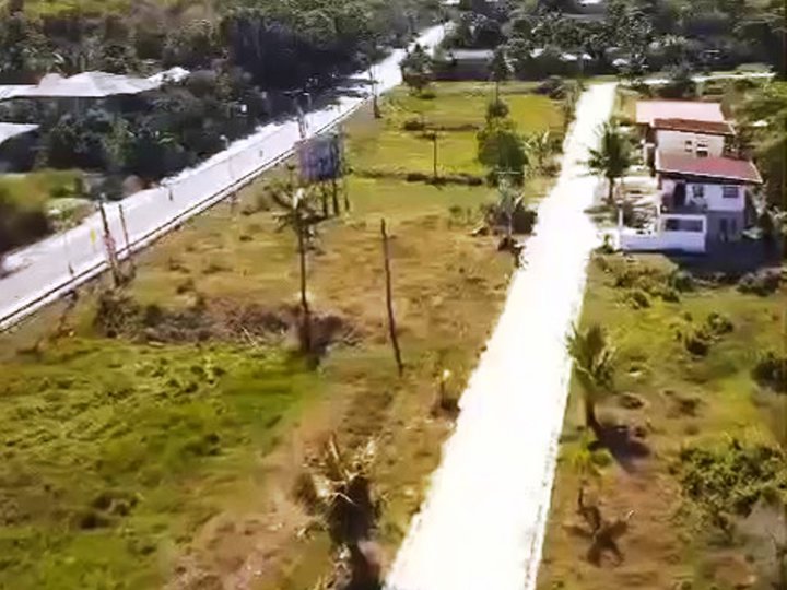 Commercial Lot along Provincial Road in Alaminos City