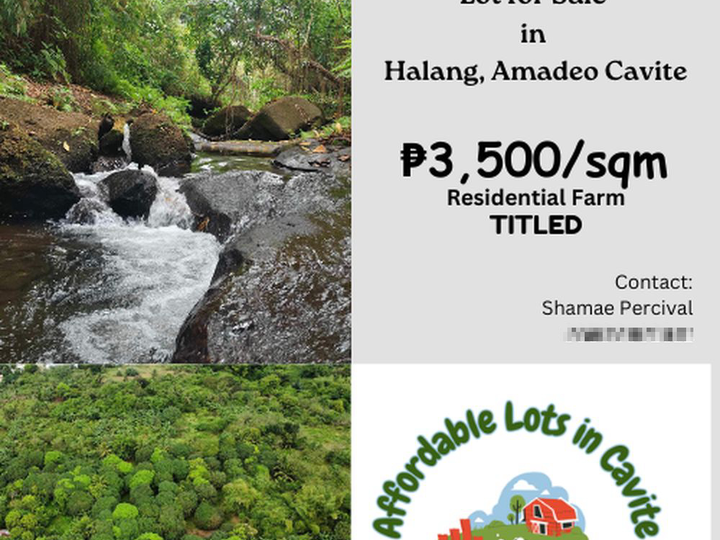 1,432 sqm TITLED Residential farm Lot in Halang, Amadeo Cavite 4118