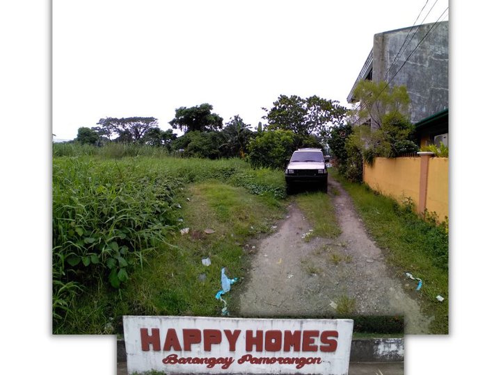 165 sqm Residential Lot For Sale in Daet Camarines Norte
