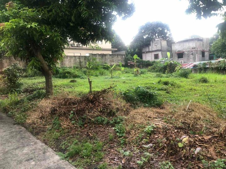 450 sqm Residential Lot For Sale in Matandang Balara, Quezon City