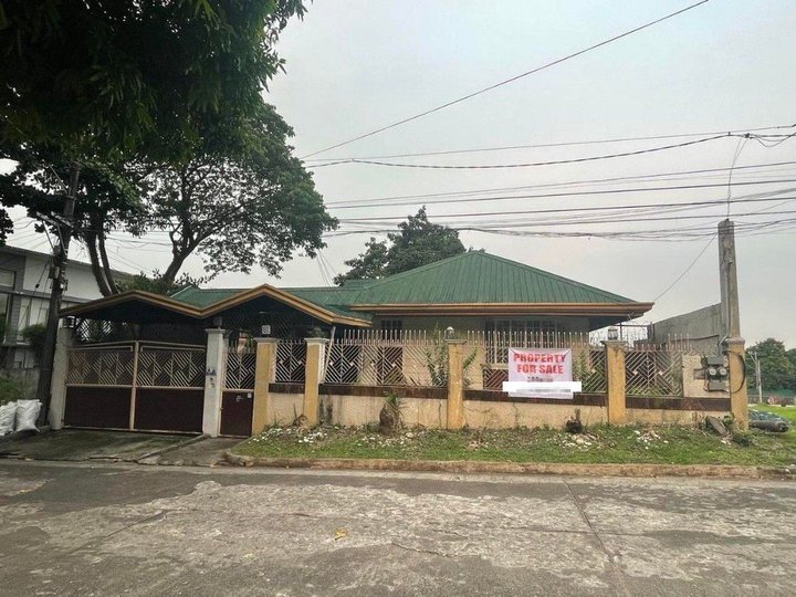 Spacious 560sqm Prime House and Lot for Sale Capitol Homes, Old Balara, Quezon City