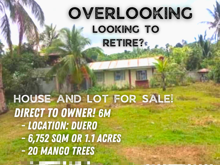 OVERLOOKING Residential Farm 6,752 sqm For Sale in Duero, Bohol