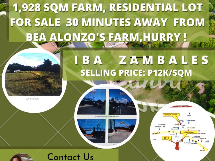 IBA ZAMBALES- FARM, RESIDENTIAL LOT 30 MINS AWAY FRM BEA ALONZO'S FARM