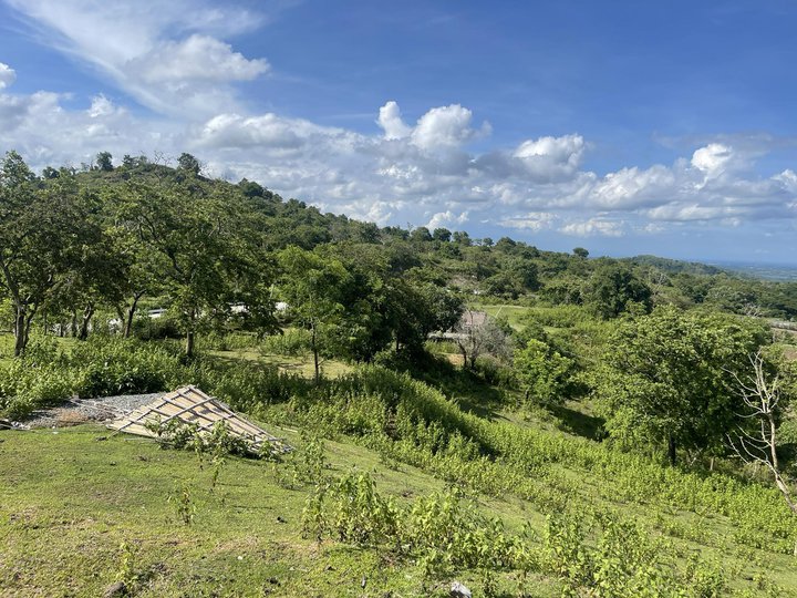 4.81 hectares Raw Land For Sale in San Jose Tarlac