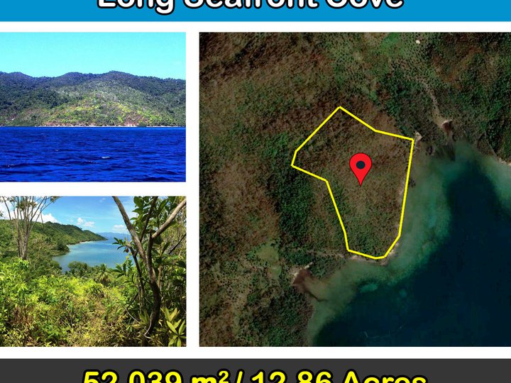 52,039 m2 / 12.86 Acres Buayan Island with long seafront cove