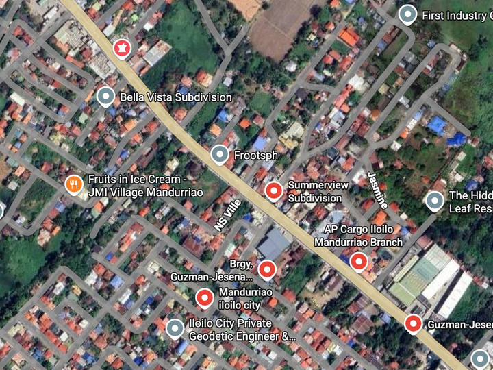 Bank Foreclosed 1.4 hectares Farm Agricultural Lot For Sale in Iloilo City ready for conversion