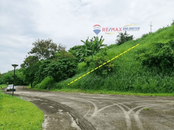 FOR SALE Special Lot in Ayala Greenfield Estates