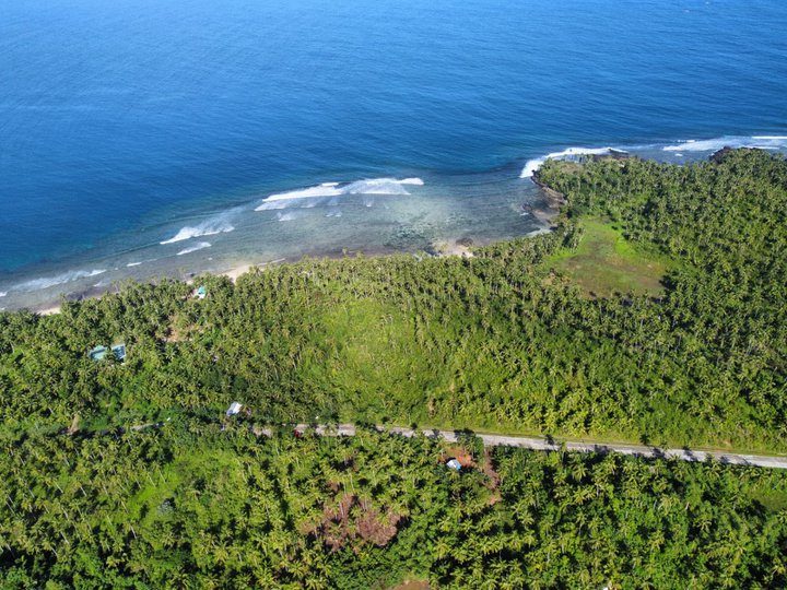10 hectares beach property for sale