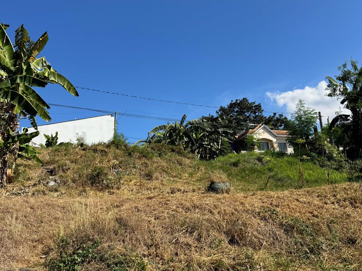 134 sqm Residential Lot For Sale in Parkspring San Pedro Laguna