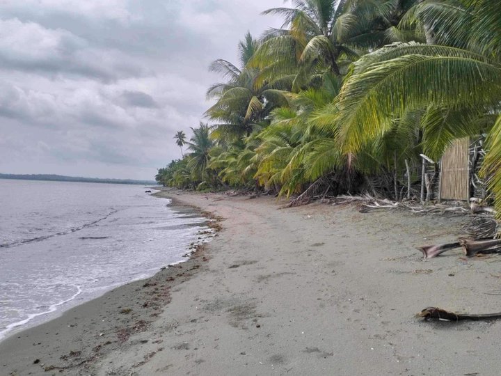 2,000 sqm Beachfront Lot property for sale in sablayan occidental mindoro