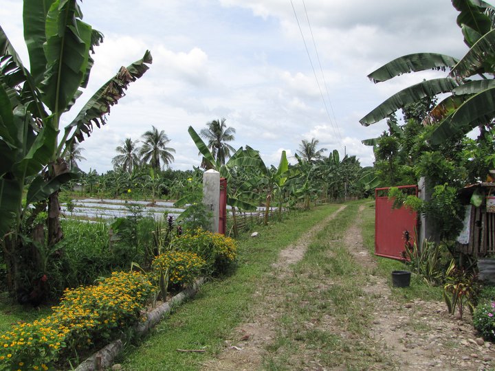 3,6926 hectares residential, commercial lot in Rizal  Javier, Leyte
