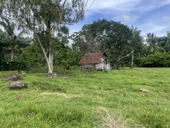 6,006 sqm Residential Farm For Sale in Dauin Negros Oriental