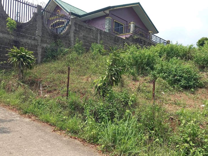 Lot for Sale 500 sqm (Barangay Neogan) - Tagaytay City