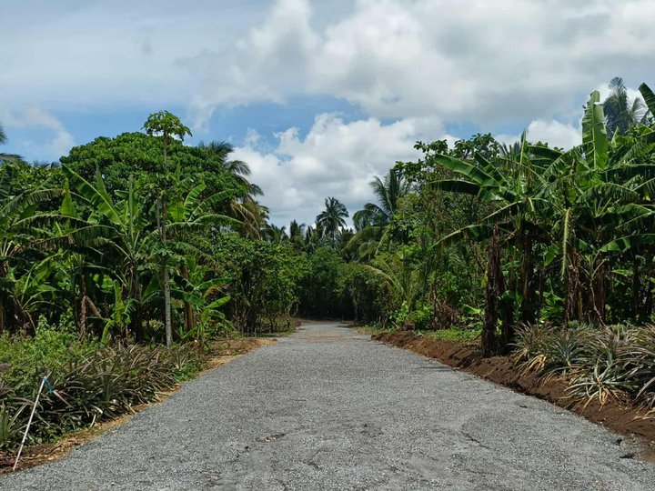 WAIT LANG, FRIEND!!! BAKIT KA DAPAT MAGKA-FARM NGAYON NA?!