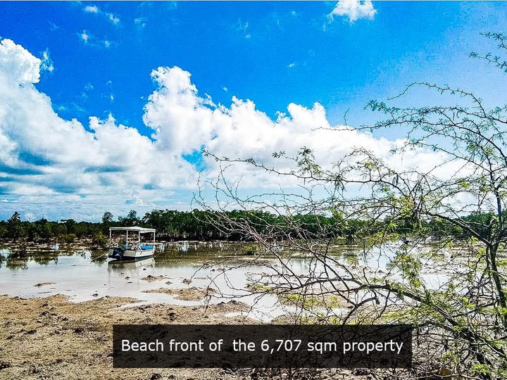 FOR SALE: 1.3 Hectares Beach Lot in Olango Island, Mactan, Cebu