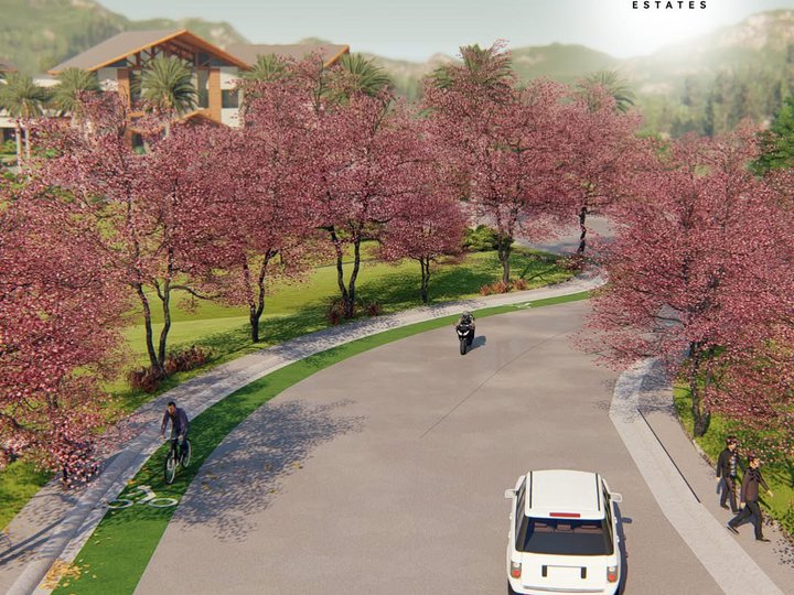 482 sqm Residential Lot For Sale in Liloan Cebu