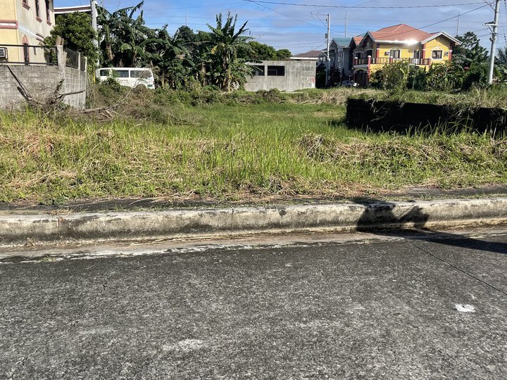 200 sqm Residential Lot For Sale in Imus Cavite
