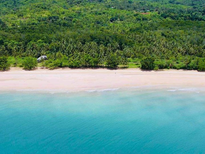 20.09 hectares Beach Property For Sale in Puerto Princesa Palawan