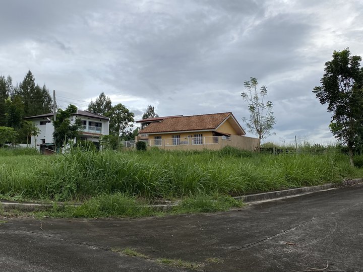 Residential lot with a total lot area of 379sqm.