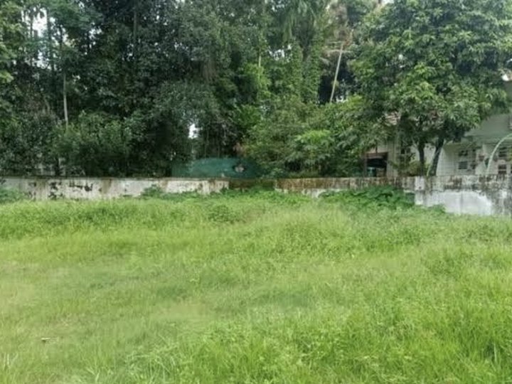 600 sqm Residential lot for sale in Puerto Princesa Palawan