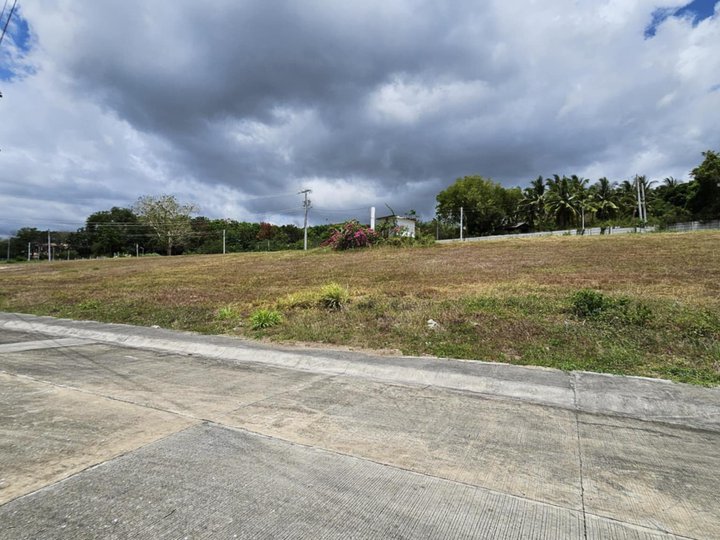 342 sqm Beachside Lot For Sale in San Juan Batangas