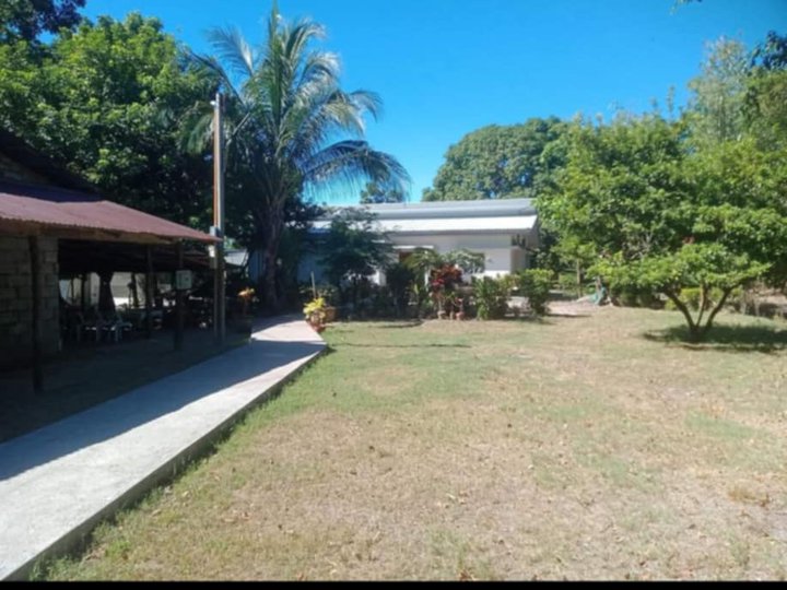 1.17 hectares Residential Farm For Sale in Zambales near pundaquit beach.