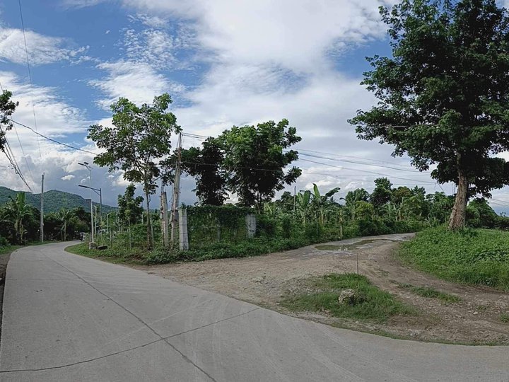 1,000 sqm Farm Lot For Sale in Tiaong Quezon