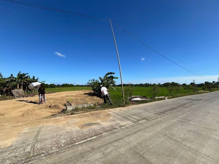 200 sq m. Subdivision Lot for Sale Abilay,Oton