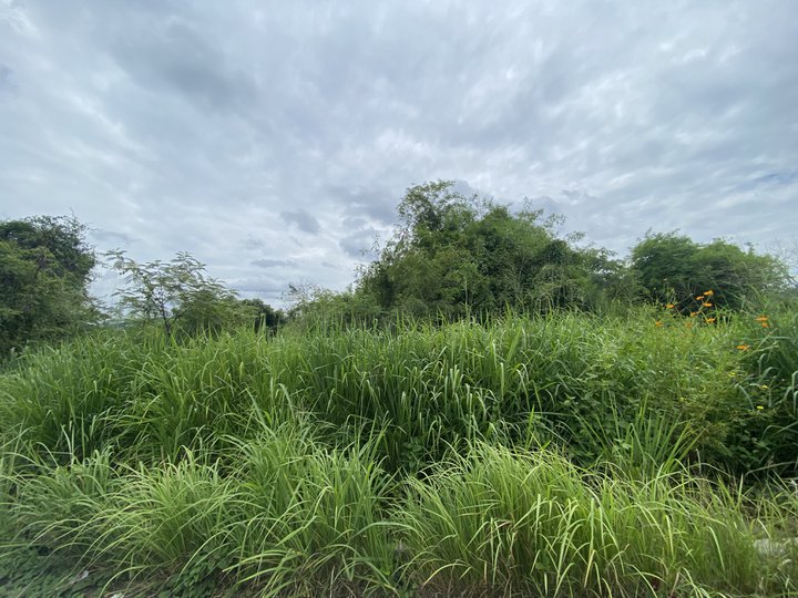 161 sqm Residential Lot For Sale in Taytay Rizal