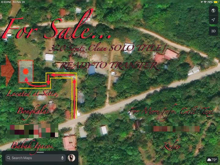 320 sqm Residential Lot For Sale in Samal Davao Del Norte