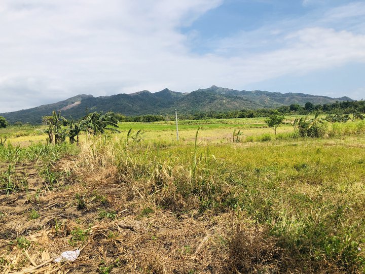 500 sqm Farm Lot For Sale in Tuy Batangas