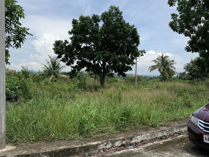 97 sqm Residential Lot for Sale at Glen Rose Subd. by Santa Lucia in Perelos Carcar Cebu