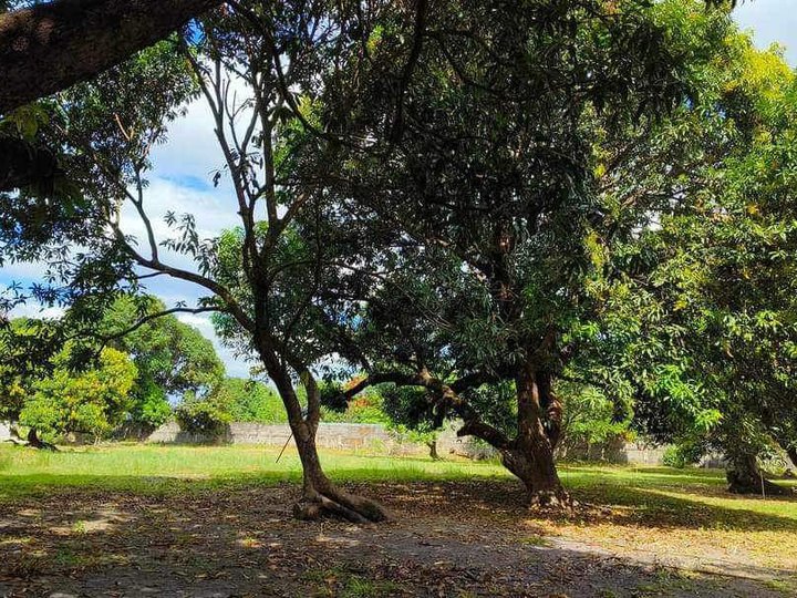 190 sqm Residential Farm Lot For Sale in Lubao Pampanga