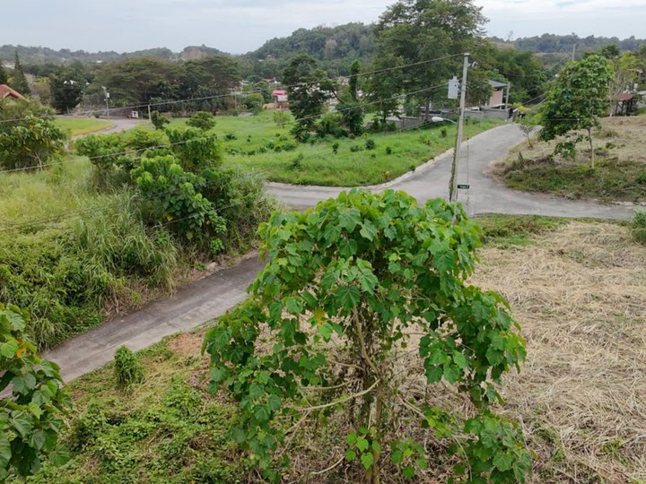 Overlooking Lot For Sale in Orange Grove,Davao City