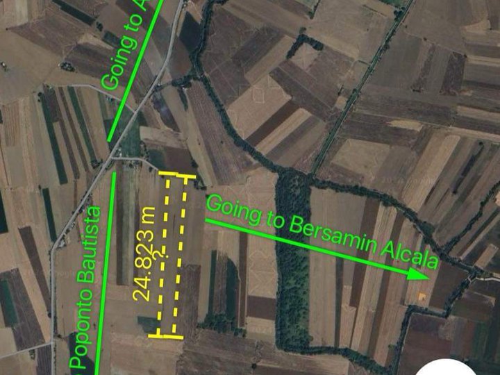 2.48 hectares Agricultural Farm For Sale in Alcala Pangasinan