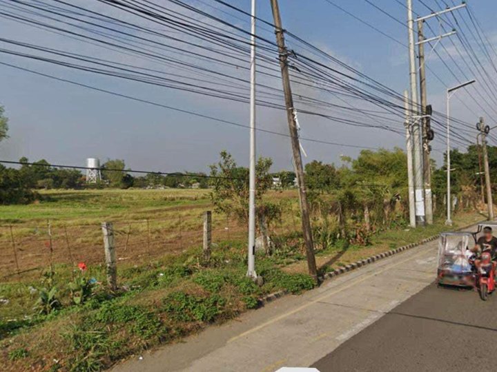 1.46 Hectares Agriculture Lot For Sale In Bacolod City