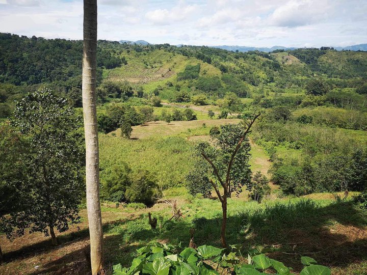 9.2 hectares Agricultural Farm at Kalilangan, Baungon, Bukidnon
