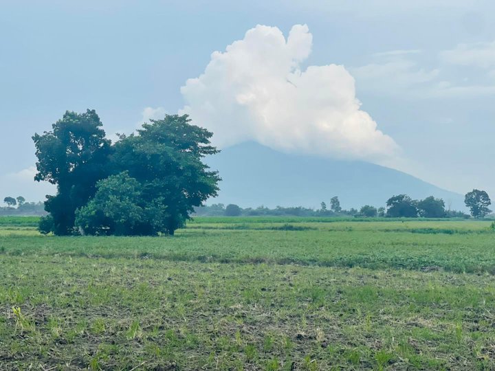 FOR SALE FARM LOT IN TARLAC WITH VIEW OF MT ARAYAT NEAR CONCEPCION SCTEX EXIT