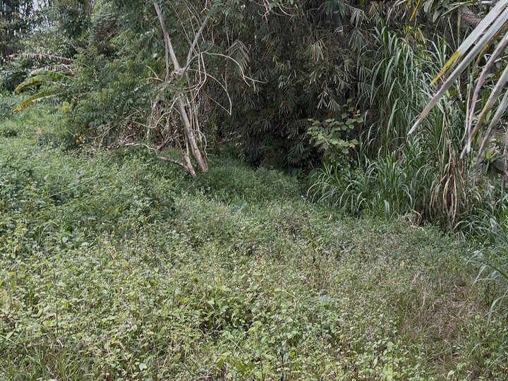 e: 100 sqm Residential Farm For Sale in Malaybalay Bukidnon