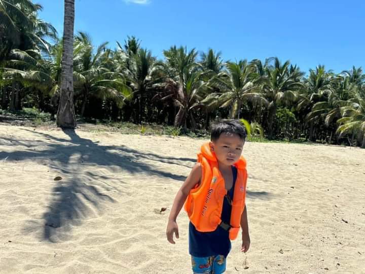 Beach farm lot with coconut farm